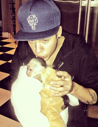 Justin Bieber's Monkey Quarantined in Germany