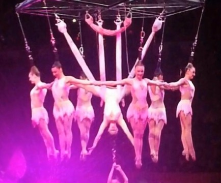 Clamp Malfunction Caused Scary Circus Accident, Three Critical