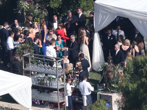 FFN_DCFAK_SimpsonWedReception_070514_51470303