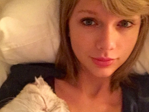Cute Overload! See Taylor Swift's 'I Woke Up Like This' Selfie with Olivia Benson