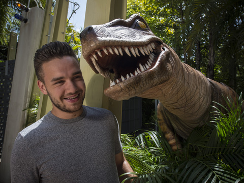 One Direction's Liam Payne Hits Universal Orlando Resort!