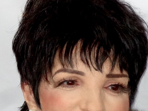 Liza Minnelli Bounces Back with First Concert in Over a Year