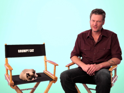Watch Blake Shelton's Hilarious Interview with Grumpy Cat for Kids' Choice