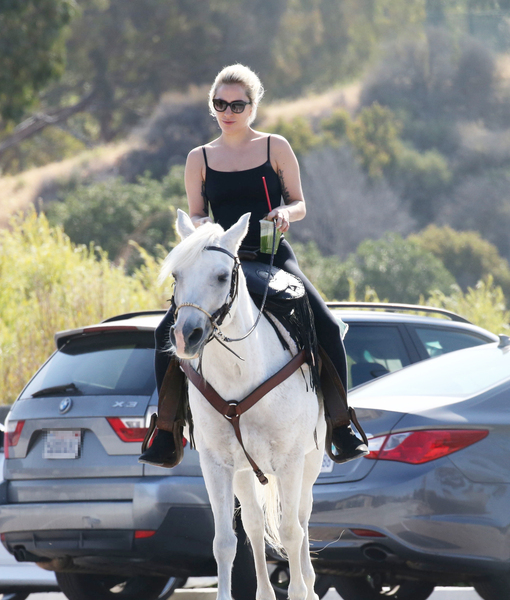 gagahorse1-510x600.jpeg