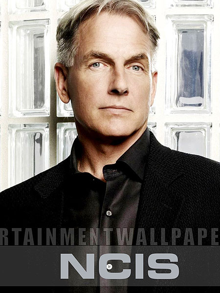 tv_ncis16.jpg