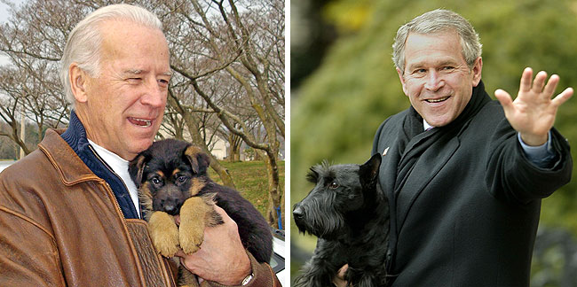 AP Photo Brown Family/Getty Images 1215dog.jpg
